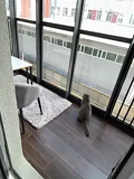 MariiD Adlı Modelin Canlı XXX Sohbeti