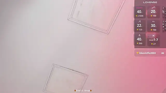 Tyler_durtenn Webbikameraesitys