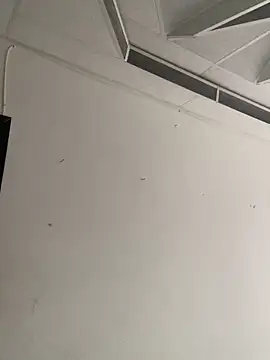 bear_mao_ 라이브 XXX 채팅