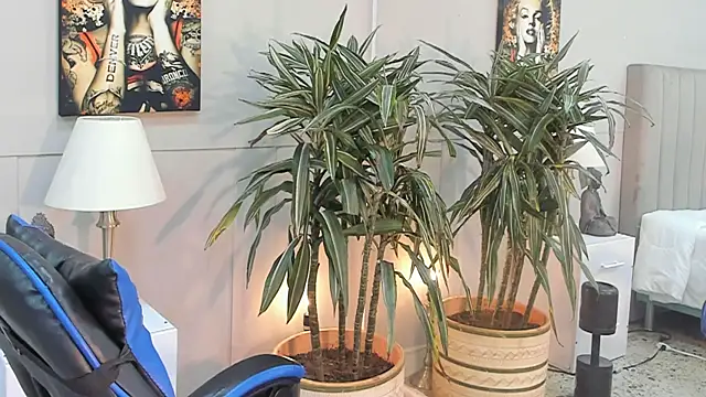 kai_stornn Live XXX chat