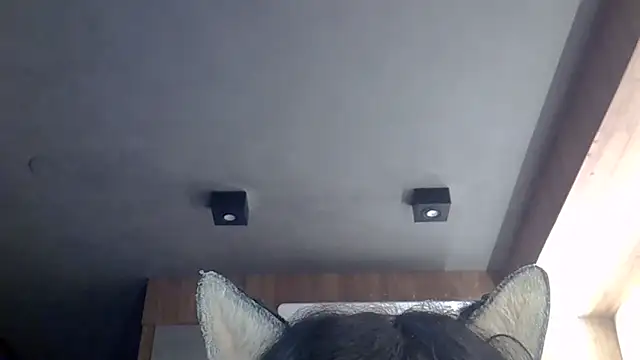 Chat +18 de SkinnyKitten ao vivo
