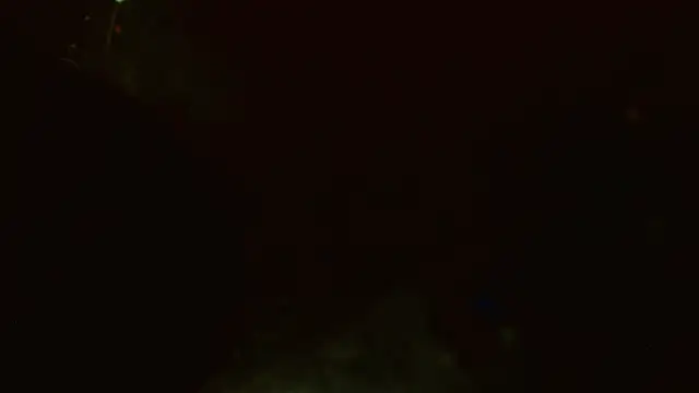 Gigadickman Webcamshow
