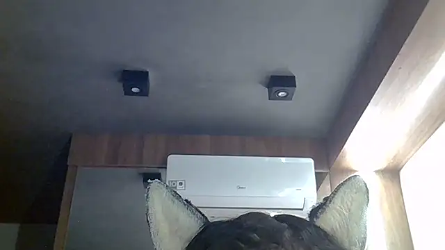 Chat +18 de SkinnyKitten ao vivo