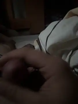 labdbdjn Webbikameraesitys