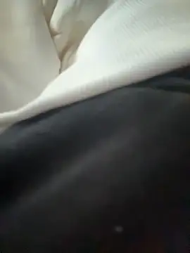 Chat XXX en directo de CityLynx