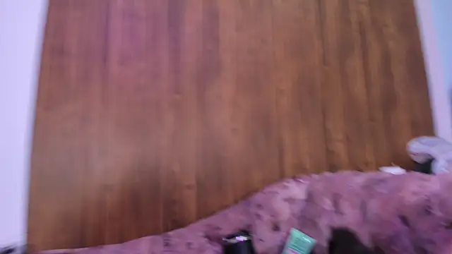 lysbani Chat XXX live