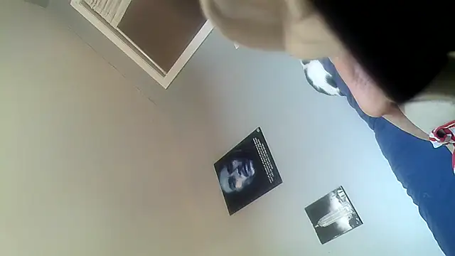 Show webcam de Vinyboy69