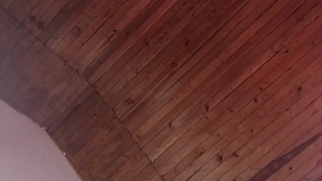 ArturoCardona_ Pertunjukan Webcam