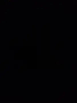 Lioste Webcam-Show