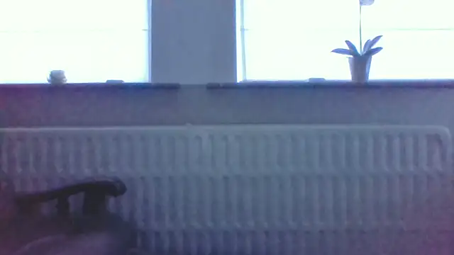 Sala de chat en directo de bertolini