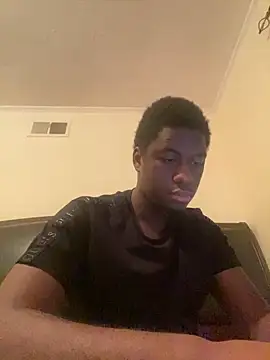 ThickDic28 Show Webcam