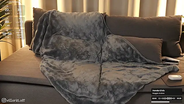 Willoris: онлайн-секс-чат