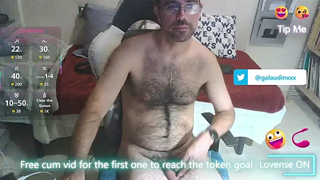 galaudin_3x_ Show in webcam
