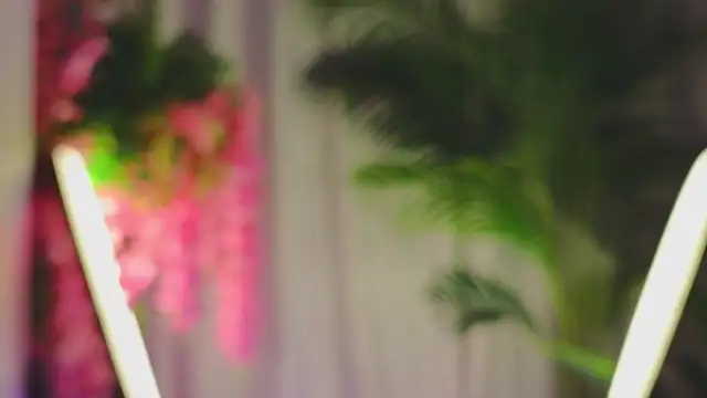 EvaHair Live XXX-Chat