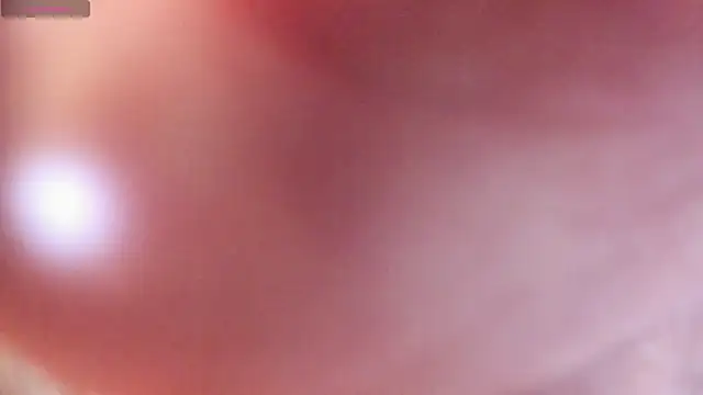DarkMouseee's Webcam Show