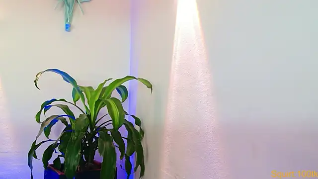 Chat XXX en directo de Mandy_boobs99