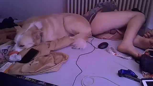 Pokazy przed kamerką – Damn_bro23