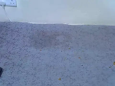 Twerl Live XXX-chat