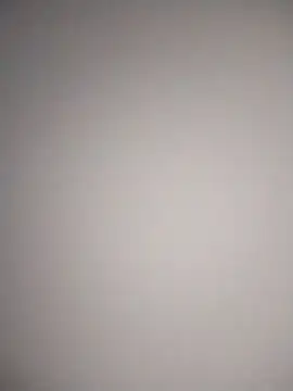 AceticPinschern Webbikameraesitys
