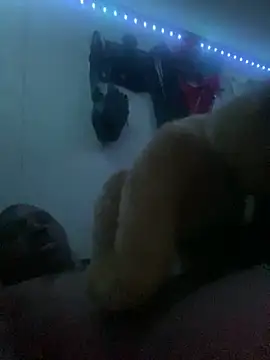 Show de Bigcock127 na webcam