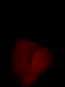 mo3mh Show Webcam