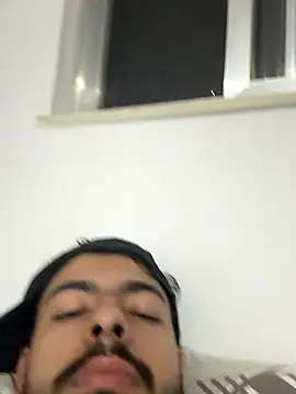 artzin2334 Webcam Show