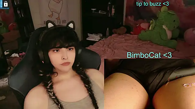 BimboCat's Webcam Show