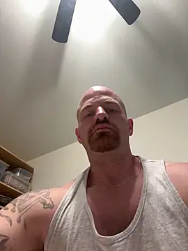 عرض كام whitelioncody