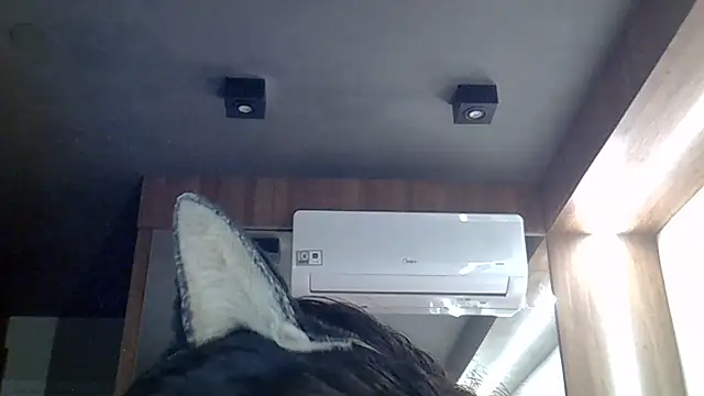 SkinnyKittenn Live XXX chat
