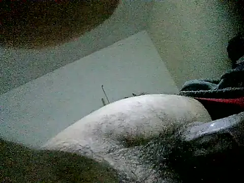 Show de LuispingonX69 na webcam