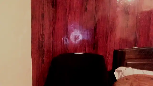 wishm3 Show Webcam