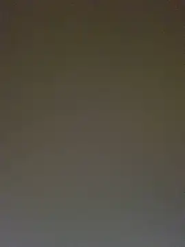 TheDime Live XXX-chat