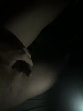 CorningReactor Webcam Show