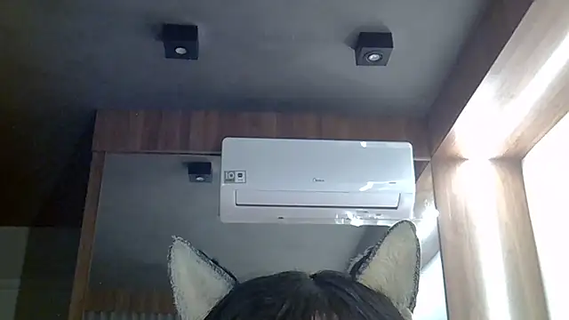 SkinnyKitten 即時 XXX 聊天