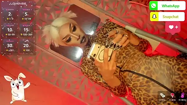 anitacruise 网络视讯表演