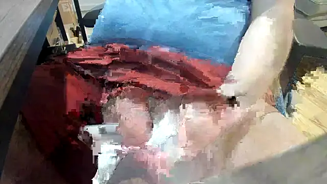SlimJimToaster webcam show