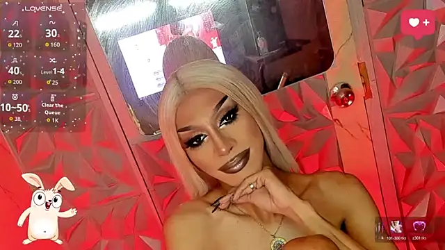 anitacruise 라이브 XXX 채팅