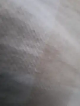 Edu235 webcam show