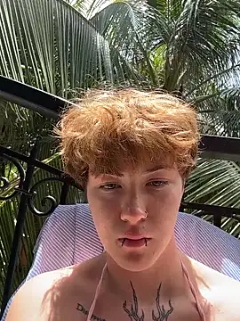 Show webcam de IceMur