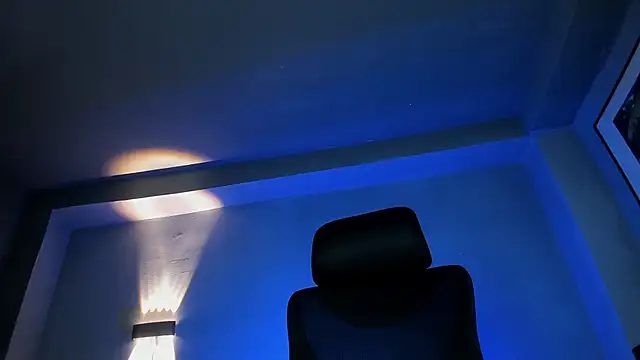 Travtanner Show Webcam