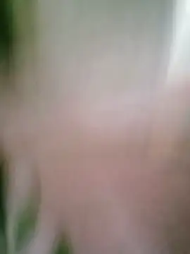 Parm_randhawa webkamerás műsora