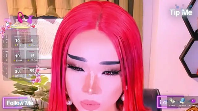 _prettyjawdropper_n Webbikameraesitys