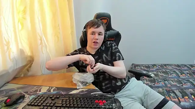iliaskrisloven Webbikameraesitys