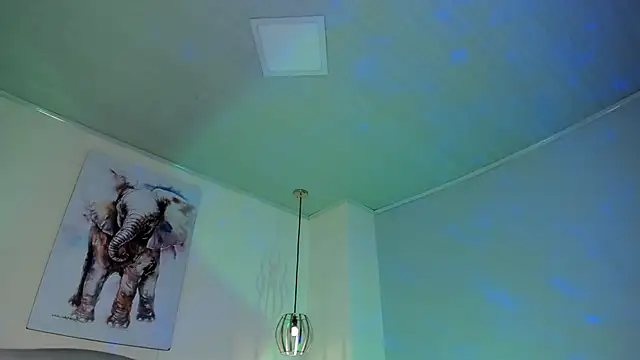 ayshel__ 라이브 XXX 채팅