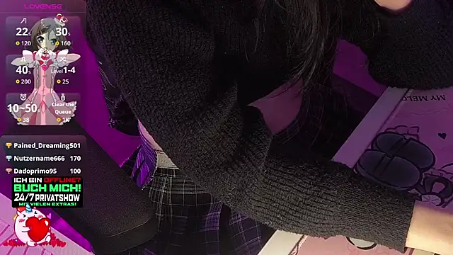 PlayMaid webcam show