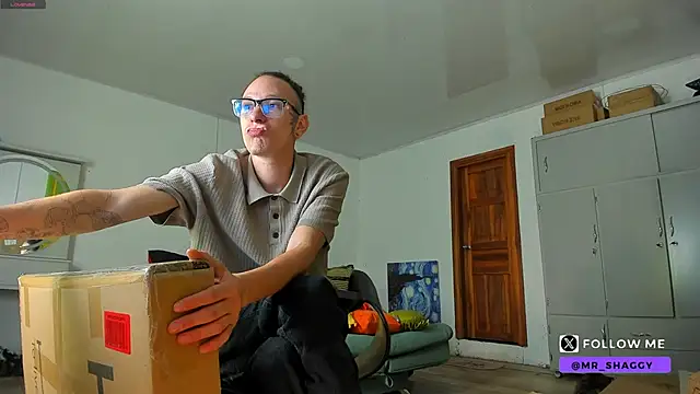 MrShaggy: веб кам-шоу