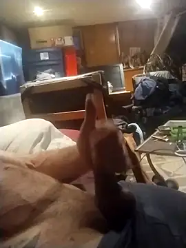 Show webcam de AceticPinscher