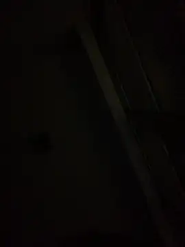 Mieto_のウェブカメラショー