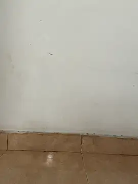 slave_pansilu élő XXX-chatje