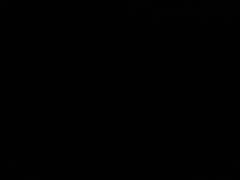 Show webcam de Blkstylion